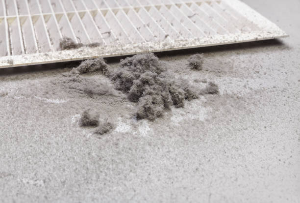 Best HVAC Air Duct Cleaning  in Ceredo, WV