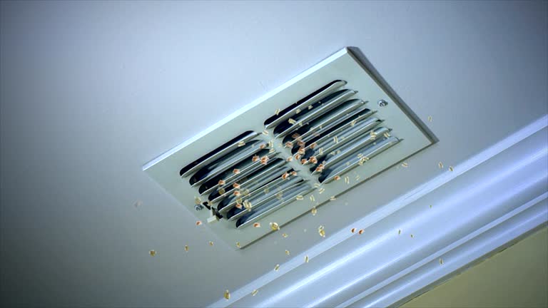 Best Home Air Vent Cleaning  in Ceredo, WV