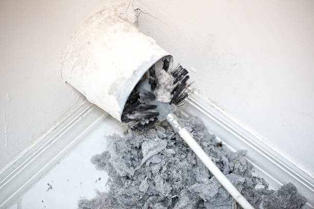 Best Professional Duct Cleaning Services  in Ceredo, WV